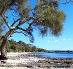 David Jones Cottage - Lennox Head Accommodation