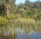 Fosterton Lodge Retreat - Lennox Head Accommodation