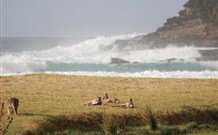 Moombilleen - Lennox Head Accommodation 2
