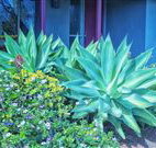 Retreat Homestead - Lennox Head Accommodation