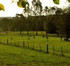 Stone Cottage Mittagong - Lennox Head Accommodation