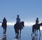 The Hayloft - Lennox Head Accommodation