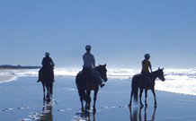 The Hayloft - Lennox Head Accommodation 0