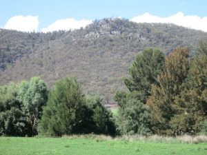 Jessica's Guest House And Vineyard - Lennox Head Accommodation 3