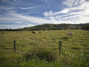 Goolmangar NSW Lennox Head Accommodation
