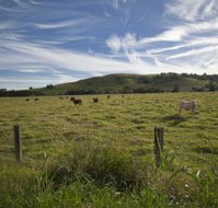 Annas Retreat - Lennox Head Accommodation