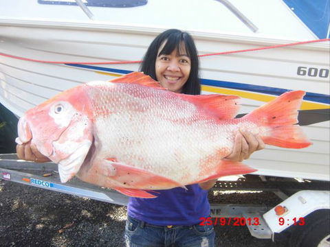 Flying Fish Point Tourist Park - Lennox Head Accommodation 6