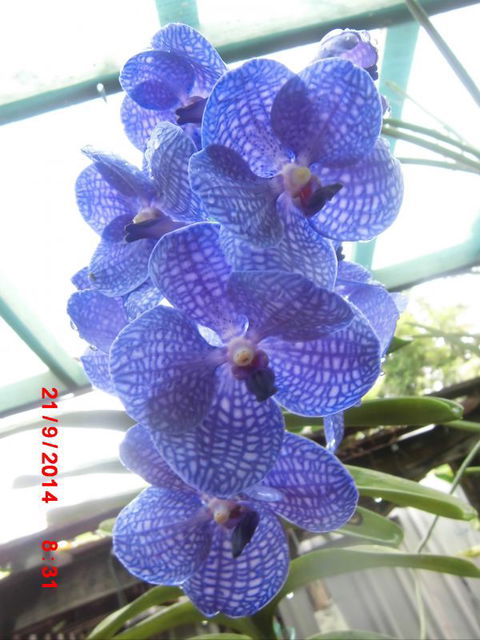 Flying Fish Point Tourist Park - Lennox Head Accommodation 8