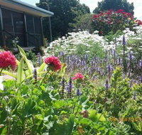Eastwood Farm - Lennox Head Accommodation