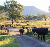 Tommerups Dairy Farmstay - Lennox Head Accommodation
