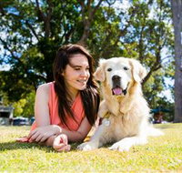 Jacobs Well Tourist Park - Lennox Head Accommodation