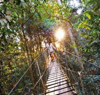 O'Reilly's Rainforest Retreat - Lennox Head Accommodation