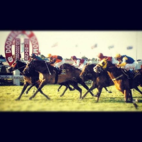 AAA The View - Lennox Head Accommodation 3