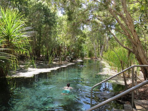Bitter Springs Cabins And Camping - Lennox Head Accommodation 6