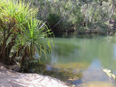 Bitter Springs Cabins And Camping - Lennox Head Accommodation 7