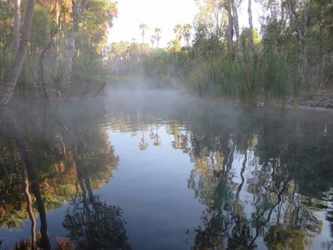Bitter Springs Cabins And Camping - Lennox Head Accommodation 8