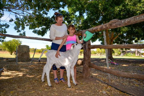 Bullo River Station - Lennox Head Accommodation 3