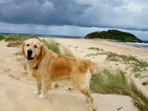 Castaway Holiday Units - Lennox Head Accommodation 1