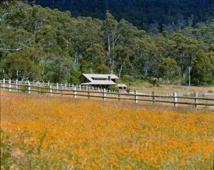 Pender Lea Alpine Guest Accommodation - Lennox Head Accommodation 1