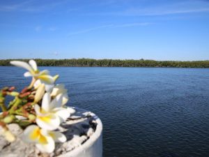 The Fishing Haven Holiday Park - Lennox Head Accommodation 0