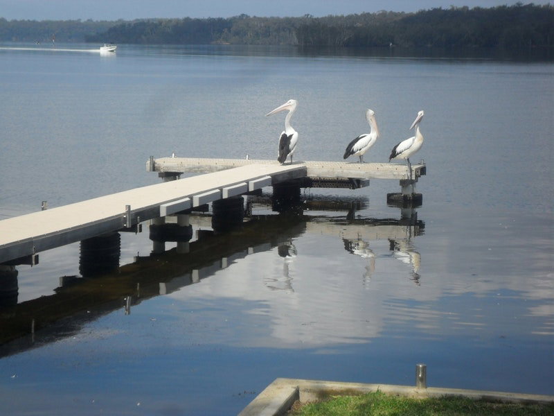 Basin View NSW Lennox Head Accommodation