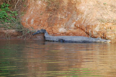 Mount Nancar Wilderness Retreat - Lennox Head Accommodation 3