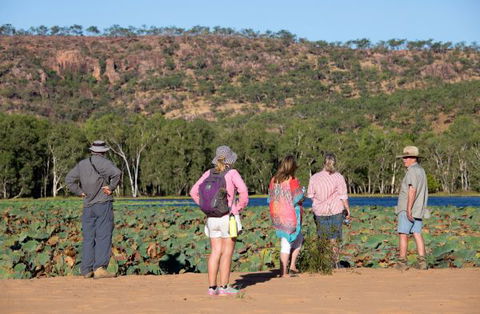 Mount Nancar Wilderness Retreat - Lennox Head Accommodation 5