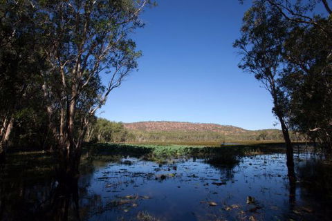 Mount Nancar Wilderness Retreat - Lennox Head Accommodation 6