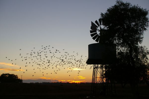 Tooraweenah NSW Lennox Head Accommodation