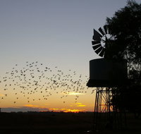 Nevertire Hotel - Lennox Head Accommodation