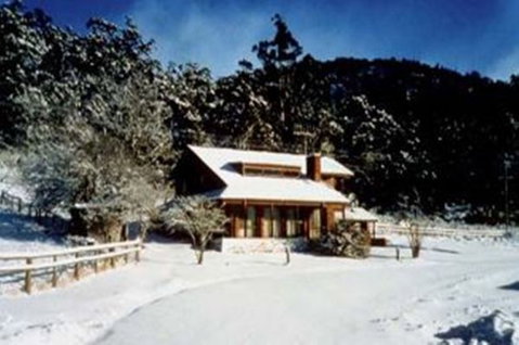 Pender Lea Alpine Guest Accommodation - Lennox Head Accommodation 2