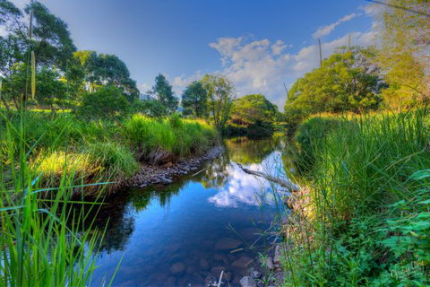 Terania Green Boutique Eco Cottages - Lennox Head Accommodation 3