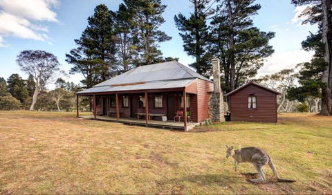 The Pines Cottage - Lennox Head Accommodation 1