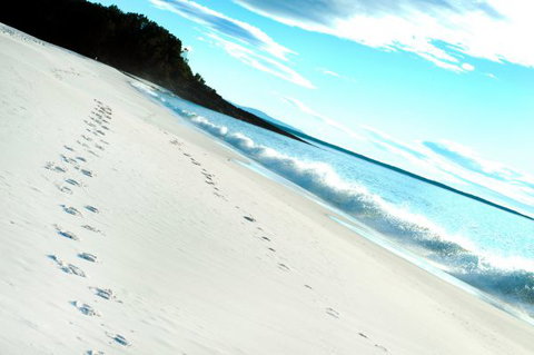 Seaglass - Lennox Head Accommodation 35