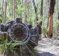 Kroombit Tops National Park Camping Ground - Lennox Head Accommodation