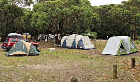 Pretty Beach Campground, Murramarang National Park - Lennox Head Accommodation 0