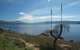 Top Of The Range Jindabyne - thumb 9