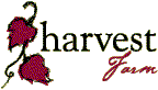 Harvest Farm - Lennox Head Accommodation 3