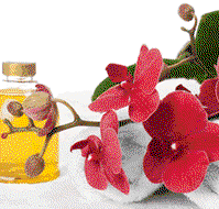 Sunny Hill Retreat Accommodation  Day Spa - Lennox Head Accommodation