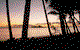 Ellis Beach Oceanfront Bungalows - thumb 1