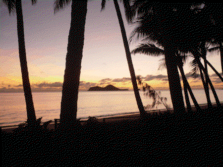 Ellis Beach Oceanfront Bungalows - Lennox Head Accommodation 1