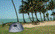 Ellis Beach Oceanfront Bungalows - thumb 2