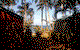 Ellis Beach Oceanfront Bungalows - thumb 5