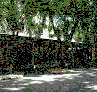 Parrotfish Backpackers - Lennox Head Accommodation