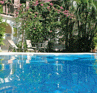 Tranquility Palm Cove - Lennox Head Accommodation