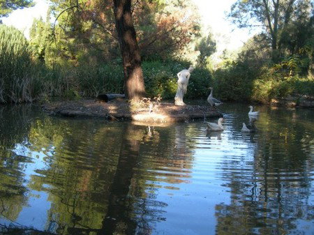 Lyndoch Hill Retreat - Lennox Head Accommodation 2