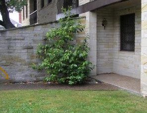 Avon Court Apartments - Lennox Head Accommodation 2