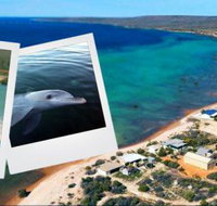 Mariner's Retreat - Lennox Head Accommodation