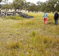 Carnarvon National Park camping - Lennox Head Accommodation