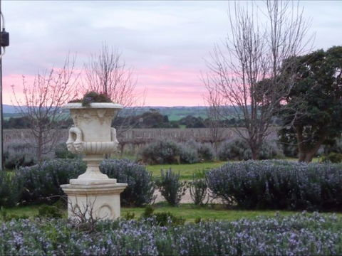 Angas Plains Estate Wines Heritage Suite - Lennox Head Accommodation 4
